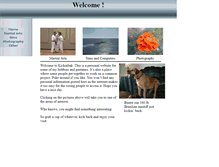 Tablet Screenshot of kickinbak.com